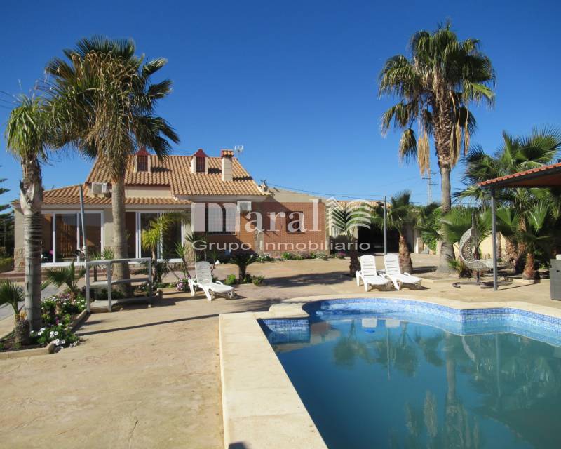 Chalet - Compra - San Vicente del Raspeig - San Vicente del Raspeig