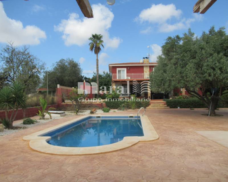 Chalet - Compra - San Vicente del Raspeig - San Vicente del Raspeig