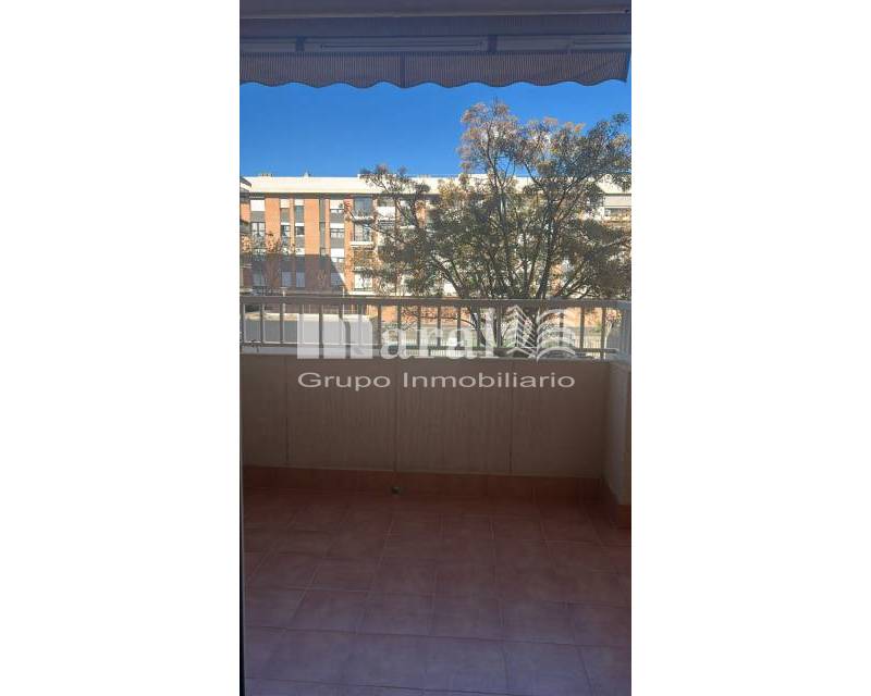 Piso - Alquiler - San Vicente del Raspeig - San Vicente del Raspeig